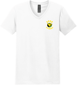 Chester County Softstyle V-Neck T-Shirt