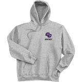 Curry College Super Heavyweight Fleece Hoodie