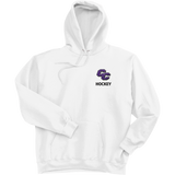 Curry College Super Heavyweight Fleece Hoodie