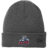 Hartford Jr. Wolfpack New Era Speckled Beanie